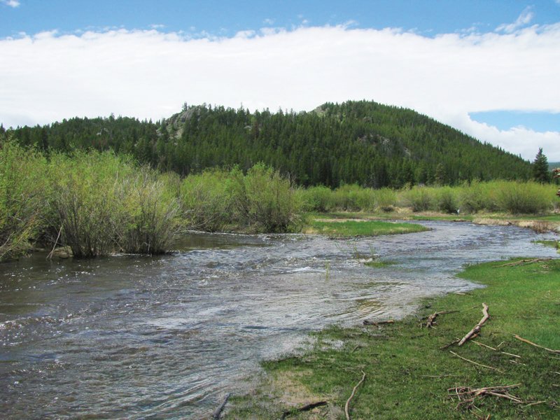 Property photo 19 - Get Lost in the Pristine Northern Colorado Rockies - Prime Building Sites